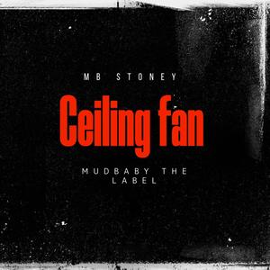 Ceiling Fan (Explicit)