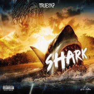 Shark (Explicit)
