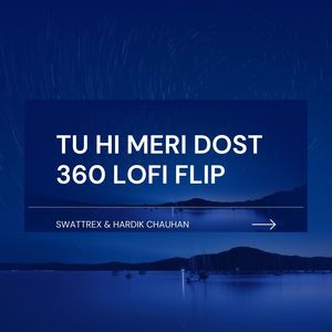 Tu Hi Meri Dost 360 Lofi Flip