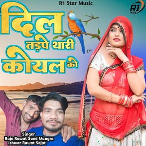 Dil Tadpe Thari Koyal Ki