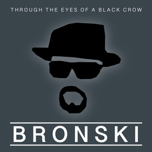 Through The Eyes Of A Black Crow