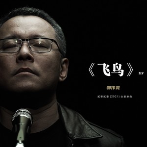 飞鸟