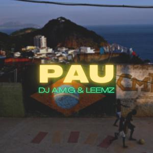 Pau (Explicit)