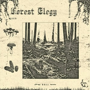 Forest Elegy