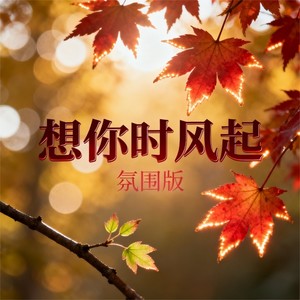 想你时风起 (氛围版)