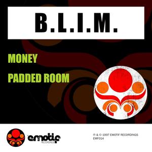 Padded Room