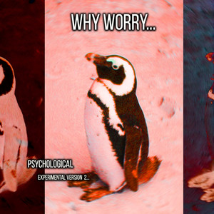 Why Worry Psychological Experimental Version 2