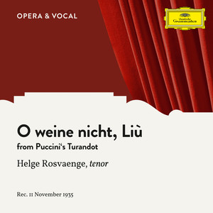 Puccini: Turandot: O weine nicht, Liù (Sung in German)