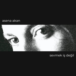 Sevmek İş Değil