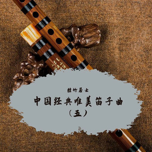 滚滚长江东逝水 (唯美笛子曲)封面