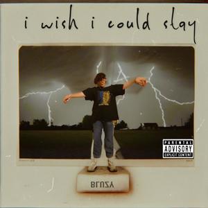 i wish i could stay (Explicit)