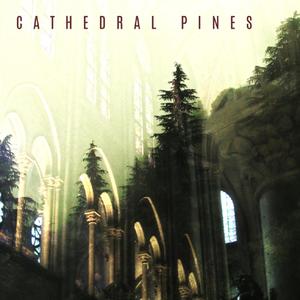 Cathedral Pines