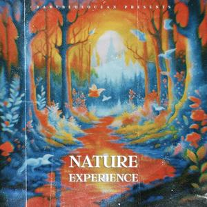 Nature Experience