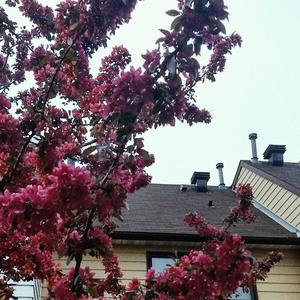 It's a Long Walk Home