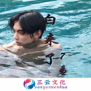 车载DJ (车载DJ版)