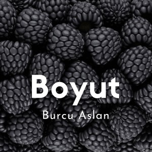 Boyut