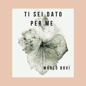 Ti sei dato per me