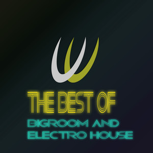 The Best of Bigroom and Electro House