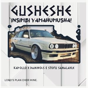 Gusheshe (feat. Dominols)