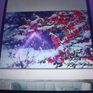 满天雪花相思泪 (合唱版)