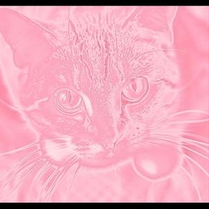 feel that bad (violent wind) (Explicit)