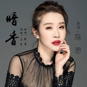 暗香-陈思