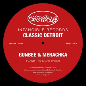 Flash the Light (Inst.)