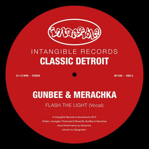 Flash the Light (Inst.)