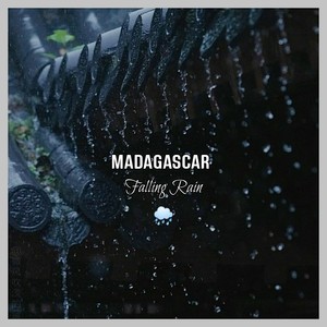 MADAGASCAR Falling Rain