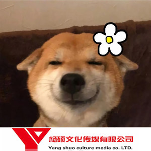 不要对我说再见