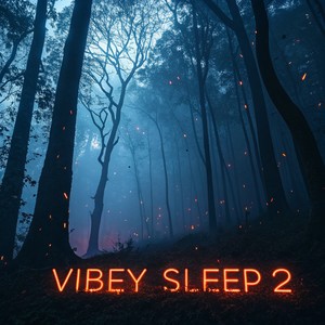 Vibey Sleep 2