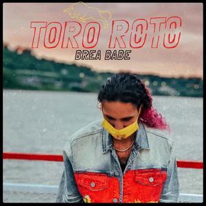 Toro Roto