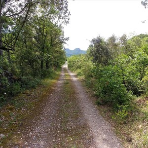 New Music Circle 3 (Live)