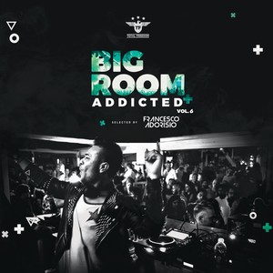 Bigroom Addicted Vol.6