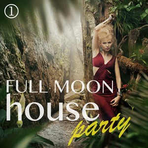 Full Moon House Party, Volume 1