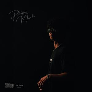 FLY (feat. 9matic) (Explicit)