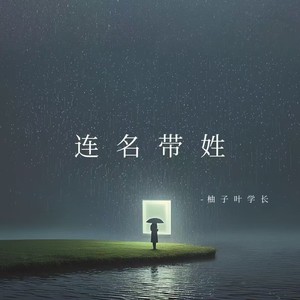 连名带姓 (再被你提起已是连名带姓)