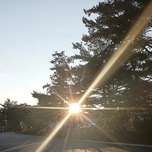 Sometimes My Heart Sings Beautiful Blue (Special Version Demo June 4, 2023 Sunday)