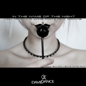 In The Name Of The Night (feat. Mickiyagi) (Shlomi Levi & Hats Remix)