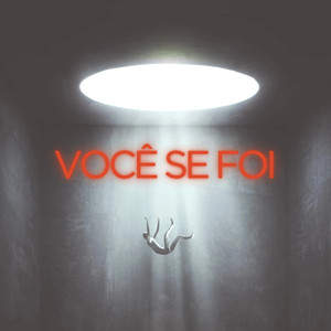 Você Se Foi
