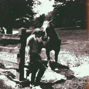 THE PiNES (Explicit)