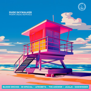 The Answer (Dude Skywalker 'Moon Over Miami' Remix)