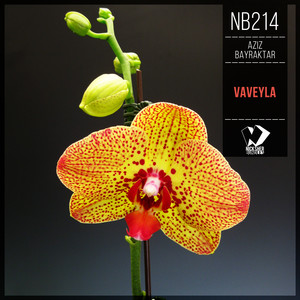 Vaveyla (Original Mix)