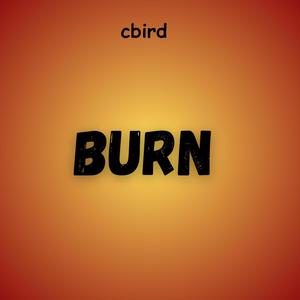 CBird - Burn