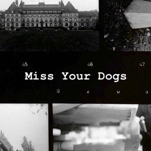 Miss Your Dogs