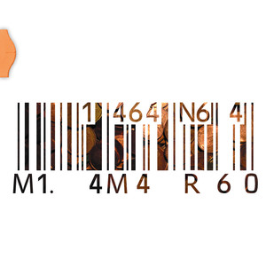 From The Street To The Jungle