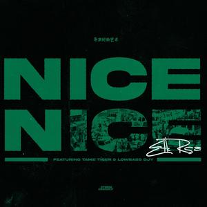 Nice Nice (feat. Lowbass Djy & Tame Tiger)