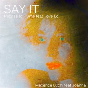 Say It (Reprise to Flume Feat Tove Lo)