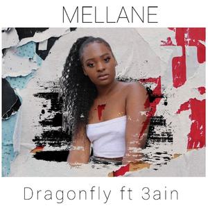 Dragonfly (Explicit)