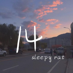 随身汀封面